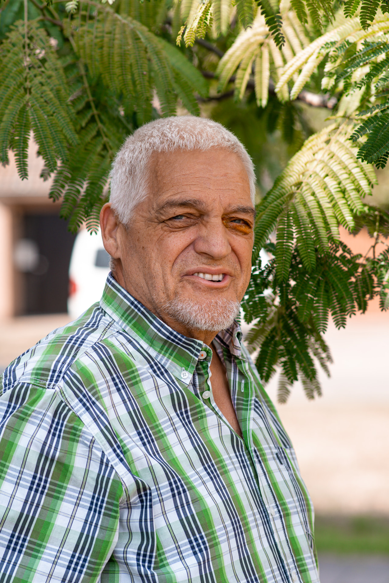 Portret van een man met wit haar voor een groene bladerwand